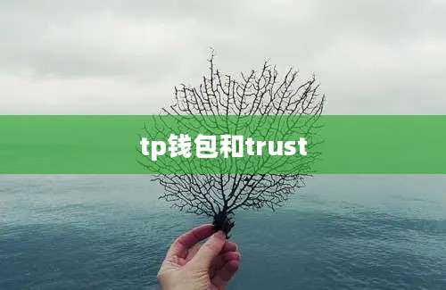 tp钱包和trust