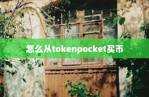 怎么从tokenpocket买币