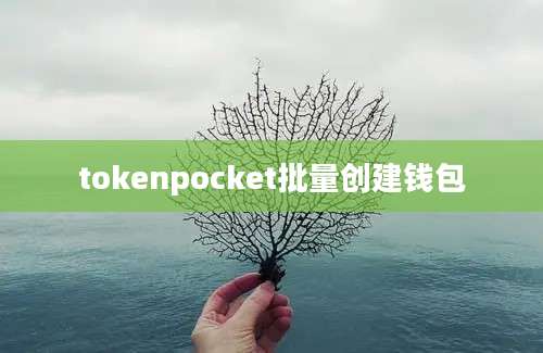 tokenpocket批量创建钱包