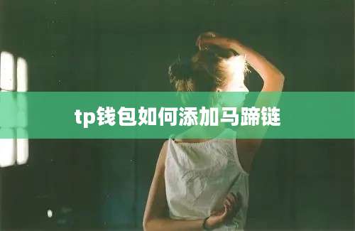 tp钱包如何添加马蹄链