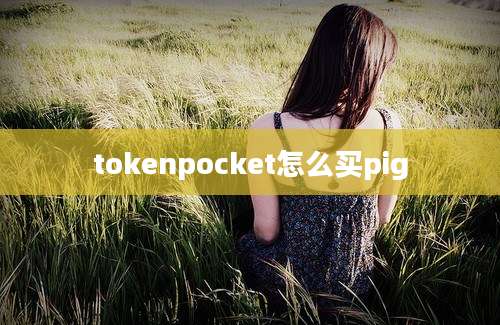 tokenpocket怎么买pig