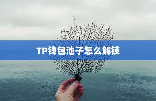 TP钱包池子怎么解锁