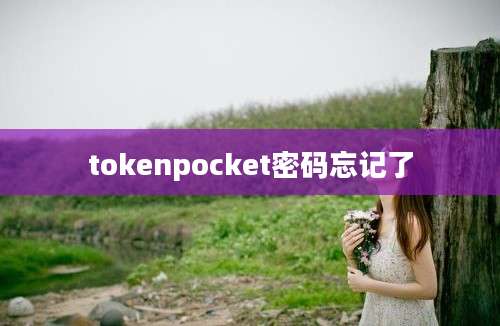 tokenpocket密码忘记了