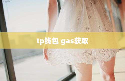 tp钱包 gas获取