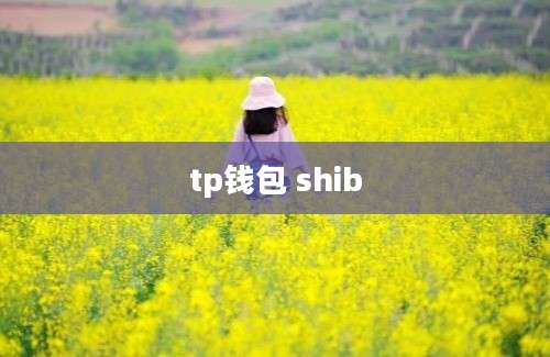 tp钱包 shib