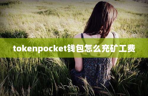 tokenpocket钱包怎么充矿工费