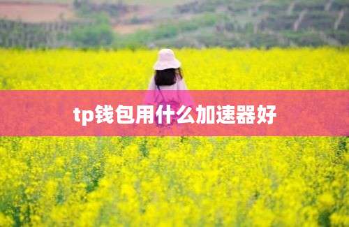 tp钱包用什么加速器好