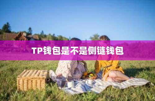 TP钱包是不是侧链钱包