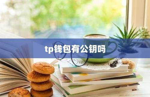 tp钱包有公钥吗