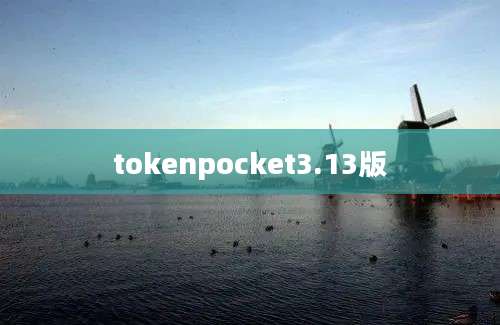 tokenpocket3.13版