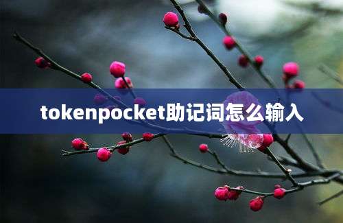 tokenpocket助记词怎么输入