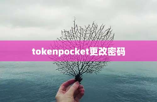 tokenpocket更改密码