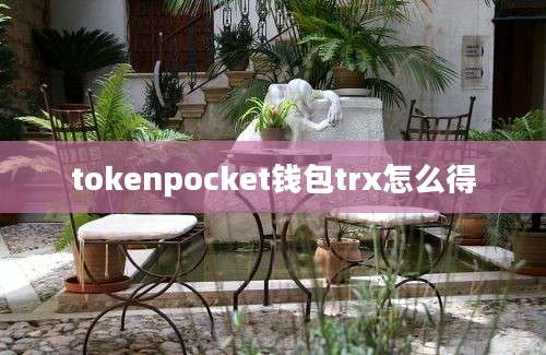 tokenpocket钱包trx怎么得