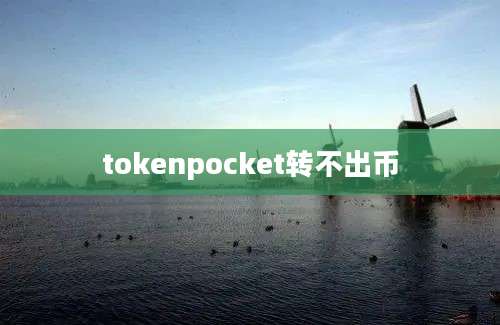 tokenpocket转不出币