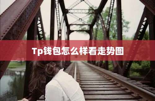 Tp钱包怎么样看走势图