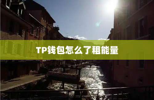 TP钱包怎么了租能量