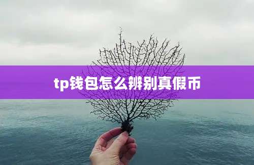 tp钱包怎么辨别真假币