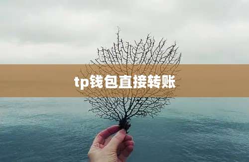 tp钱包直接转账