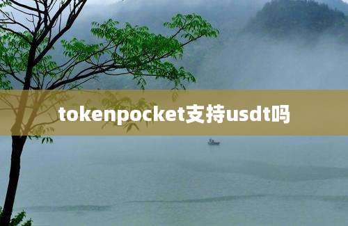 tokenpocket支持usdt吗