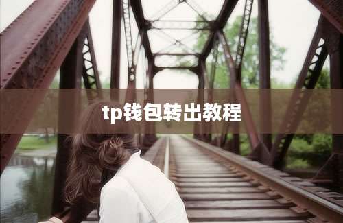 tp钱包转出教程