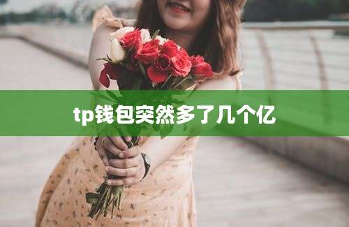 tp钱包突然多了几个亿