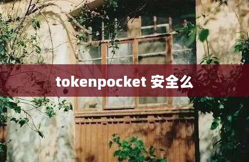 tokenpocket 安全么