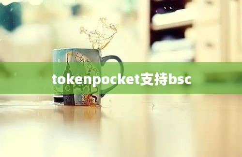 tokenpocket支持bsc