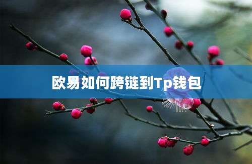 欧易如何跨链到Tp钱包