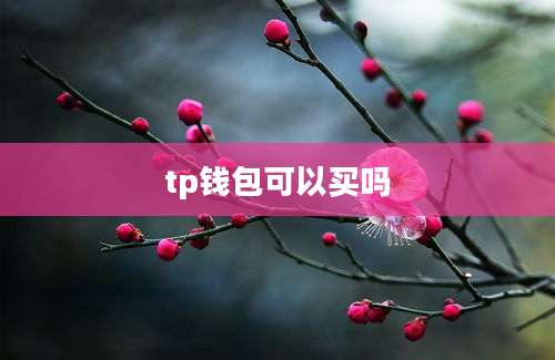 tp钱包可以买吗