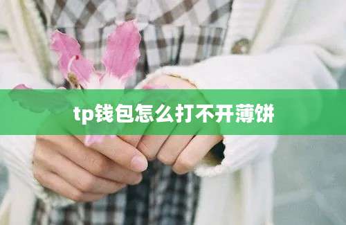 tp钱包怎么打不开薄饼