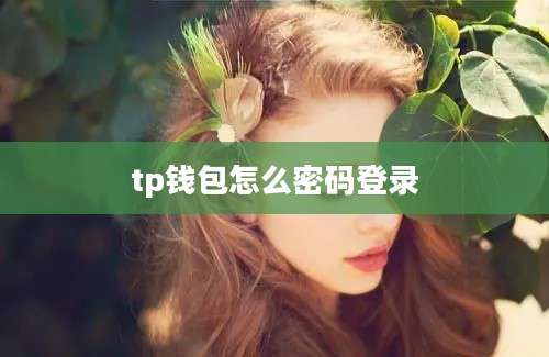 tp钱包怎么密码登录