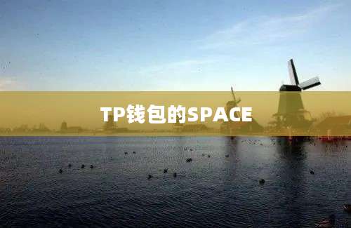 TP钱包的SPACE