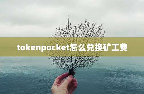 tokenpocket怎么兑换矿工费