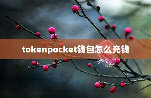 tokenpocket钱包怎么充钱