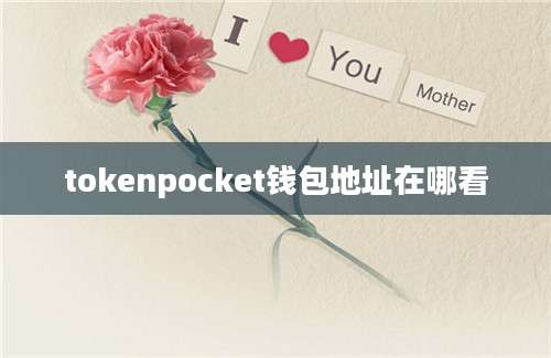 tokenpocket钱包地址在哪看