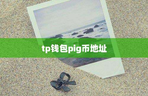 tp钱包pig币地址