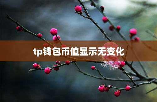 tp钱包币值显示无变化