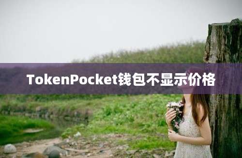 TokenPocket钱包不显示价格