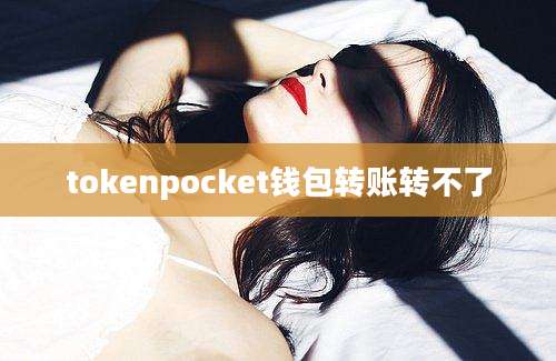 tokenpocket钱包转账转不了