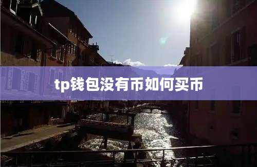 tp钱包没有币如何买币