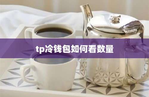 tp冷钱包如何看数量