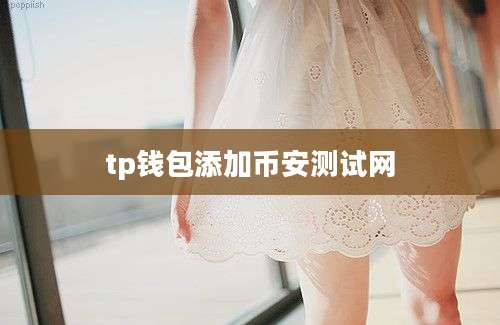 tp钱包添加币安测试网