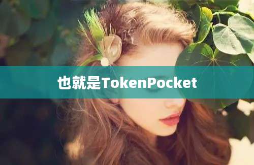 也就是TokenPocket