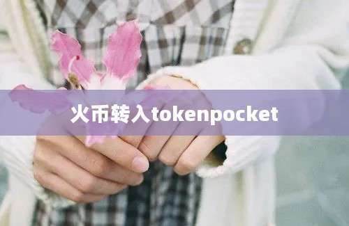 火币转入tokenpocket