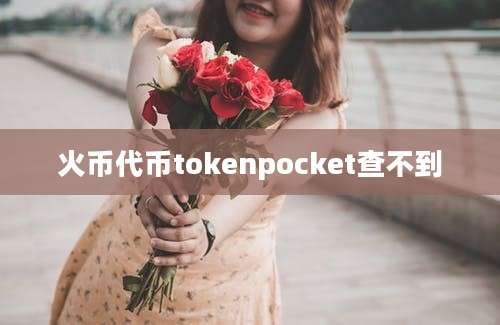 火币代币tokenpocket查不到