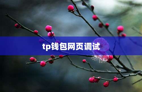 tp钱包网页调试