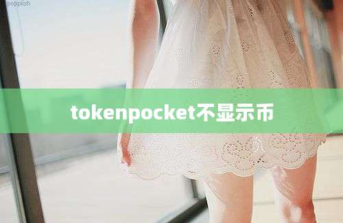 tokenpocket不显示币