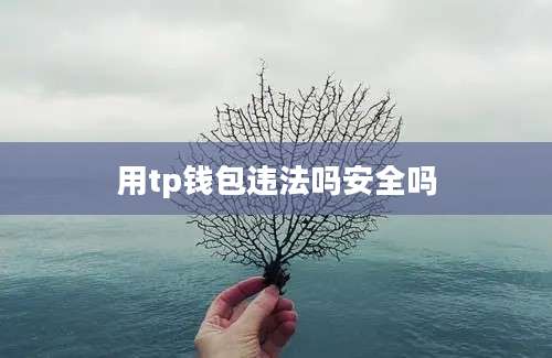 用tp钱包违法吗安全吗