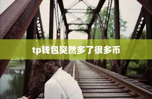 tp钱包突然多了很多币