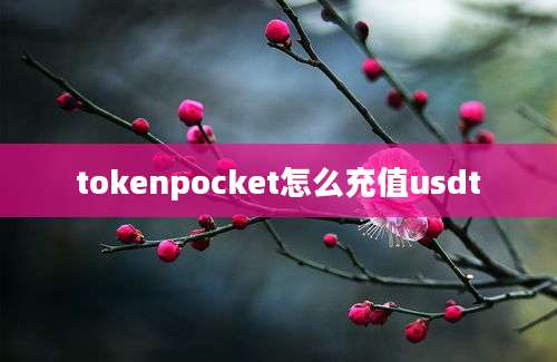 tokenpocket怎么充值usdt